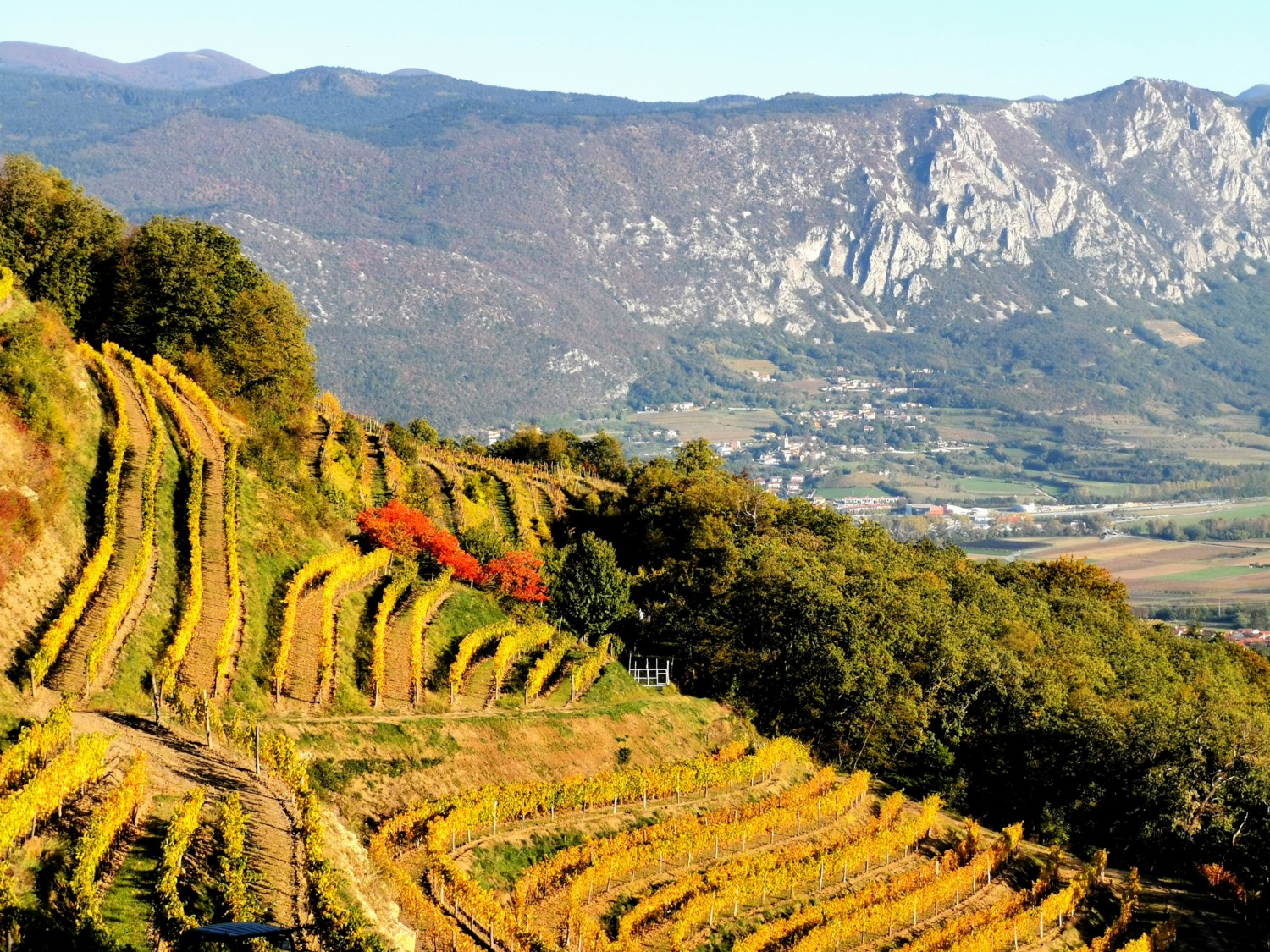 cosa vedere nella valle del vipava