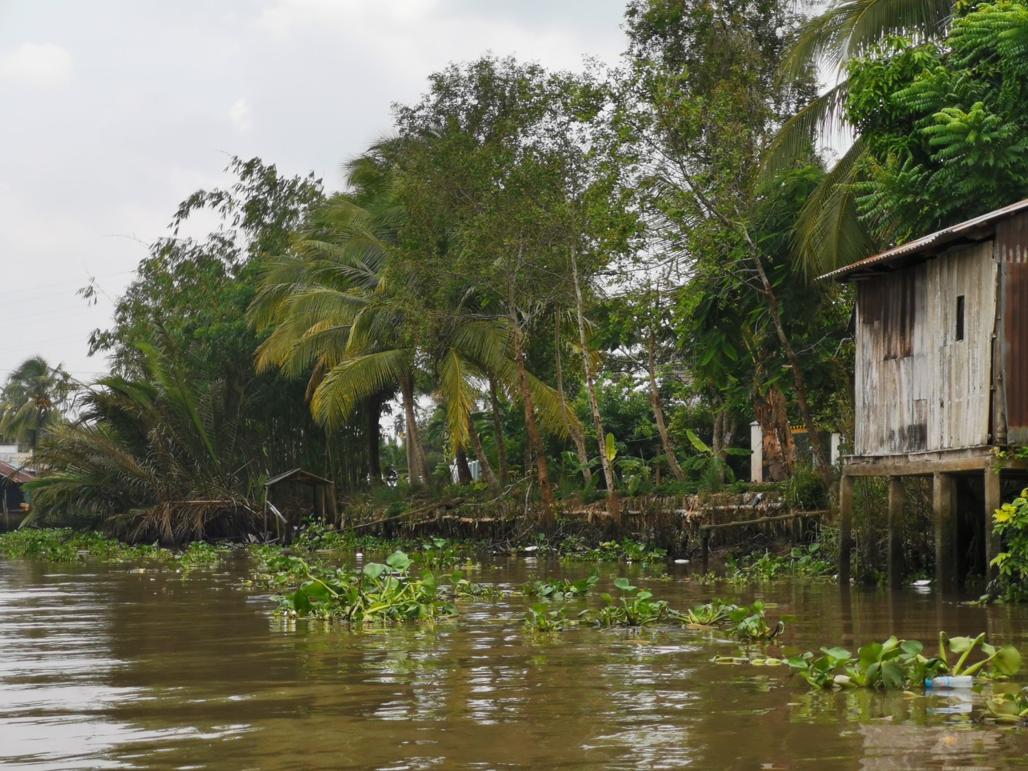 delta del mekong vietnam delta del mekong vietnam