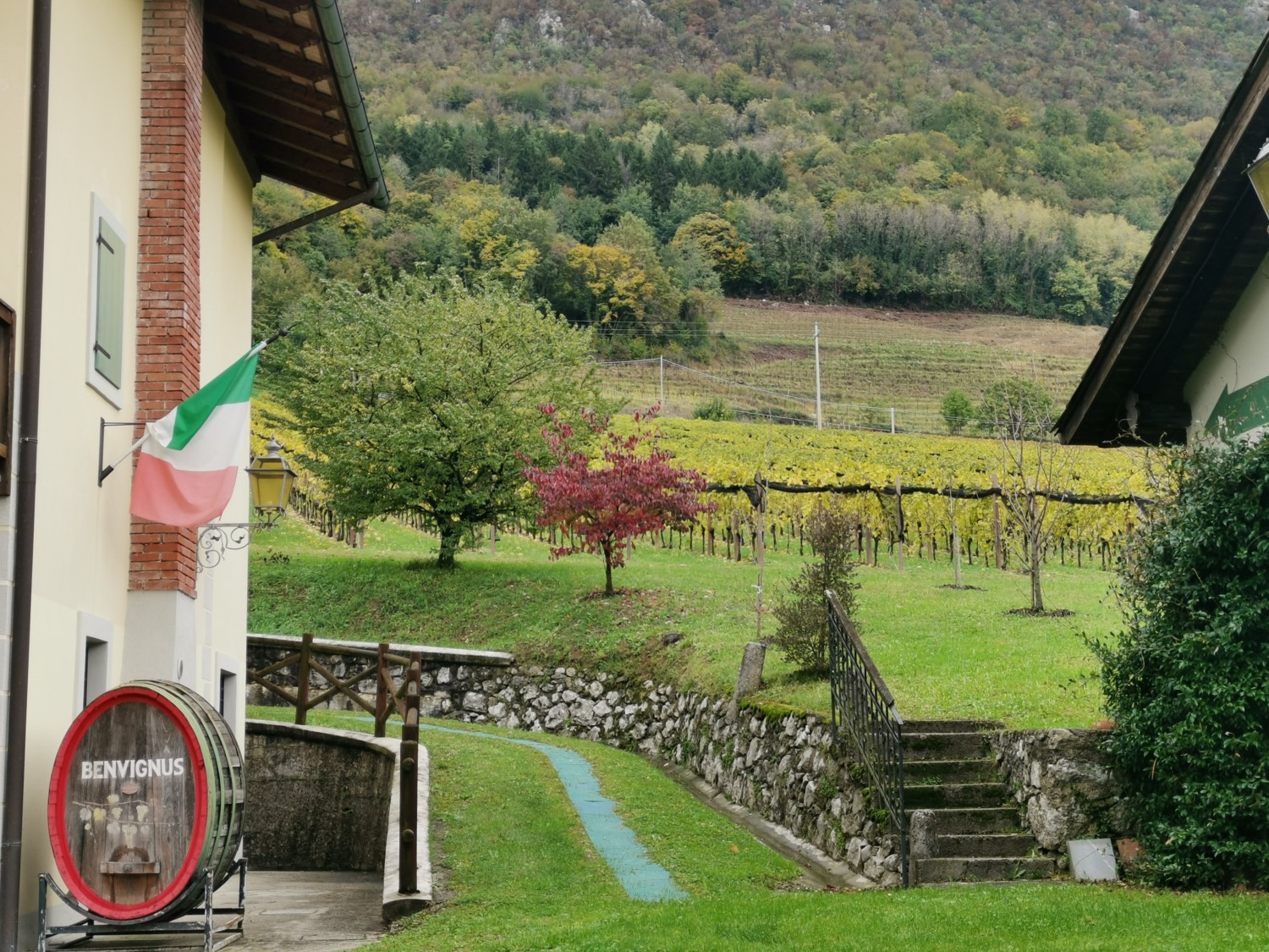 oro di ramandolo friuli