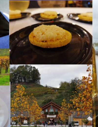 oro di ramandolo friuli