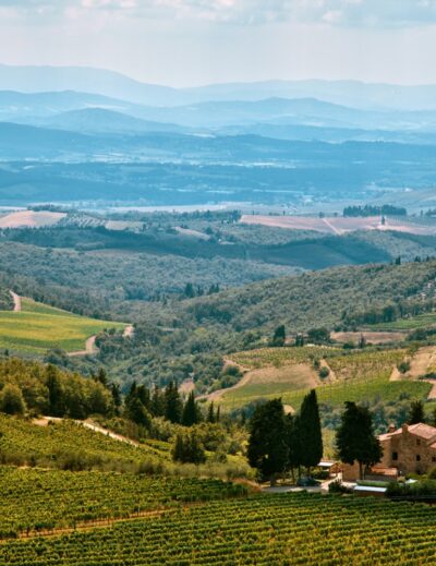 territori del vino toscana