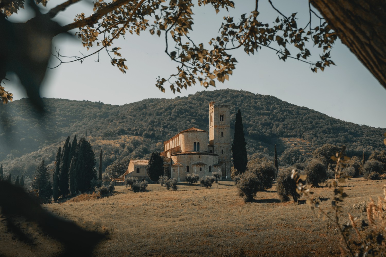 territori del vino toscana