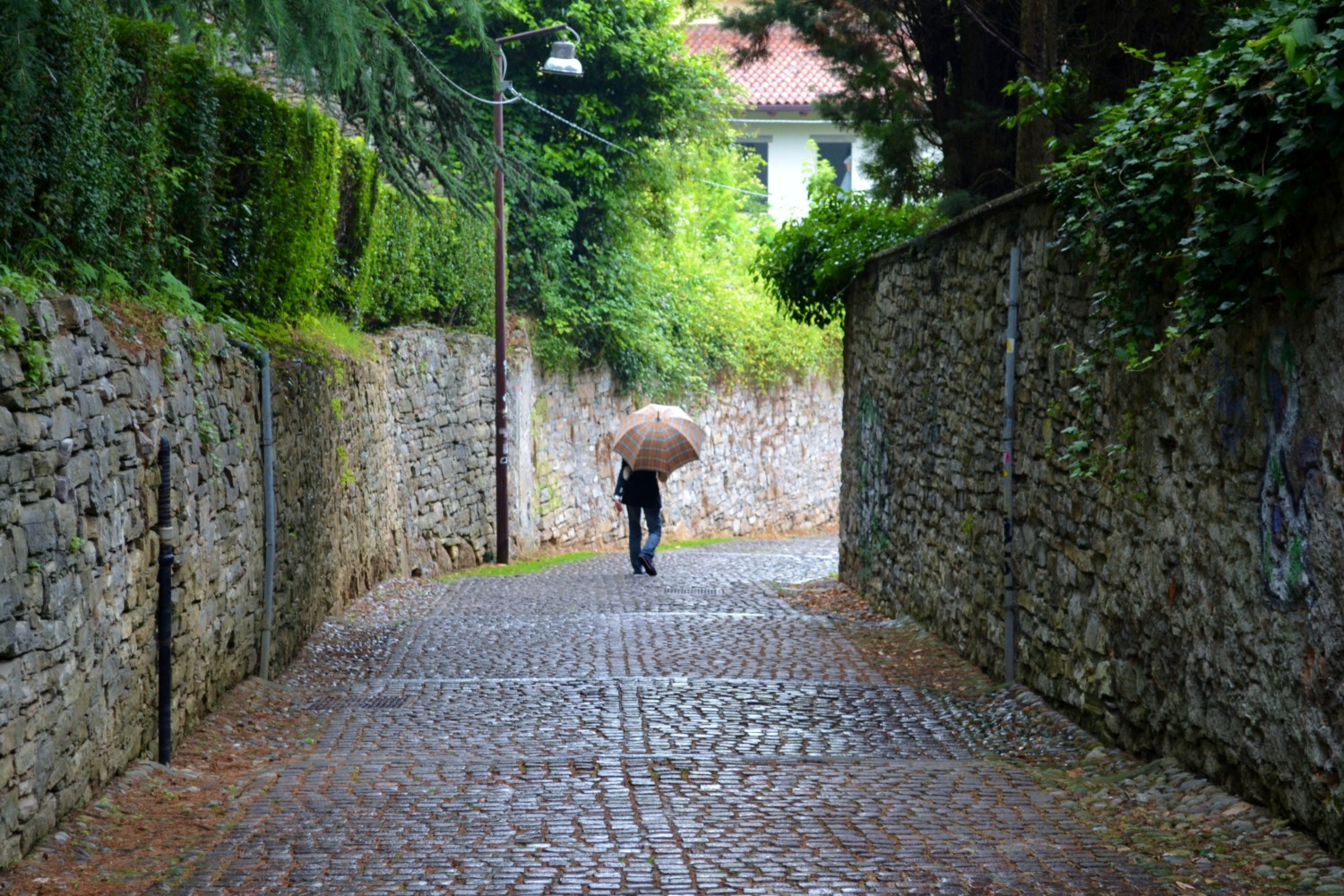 cosa vedere a bergamo