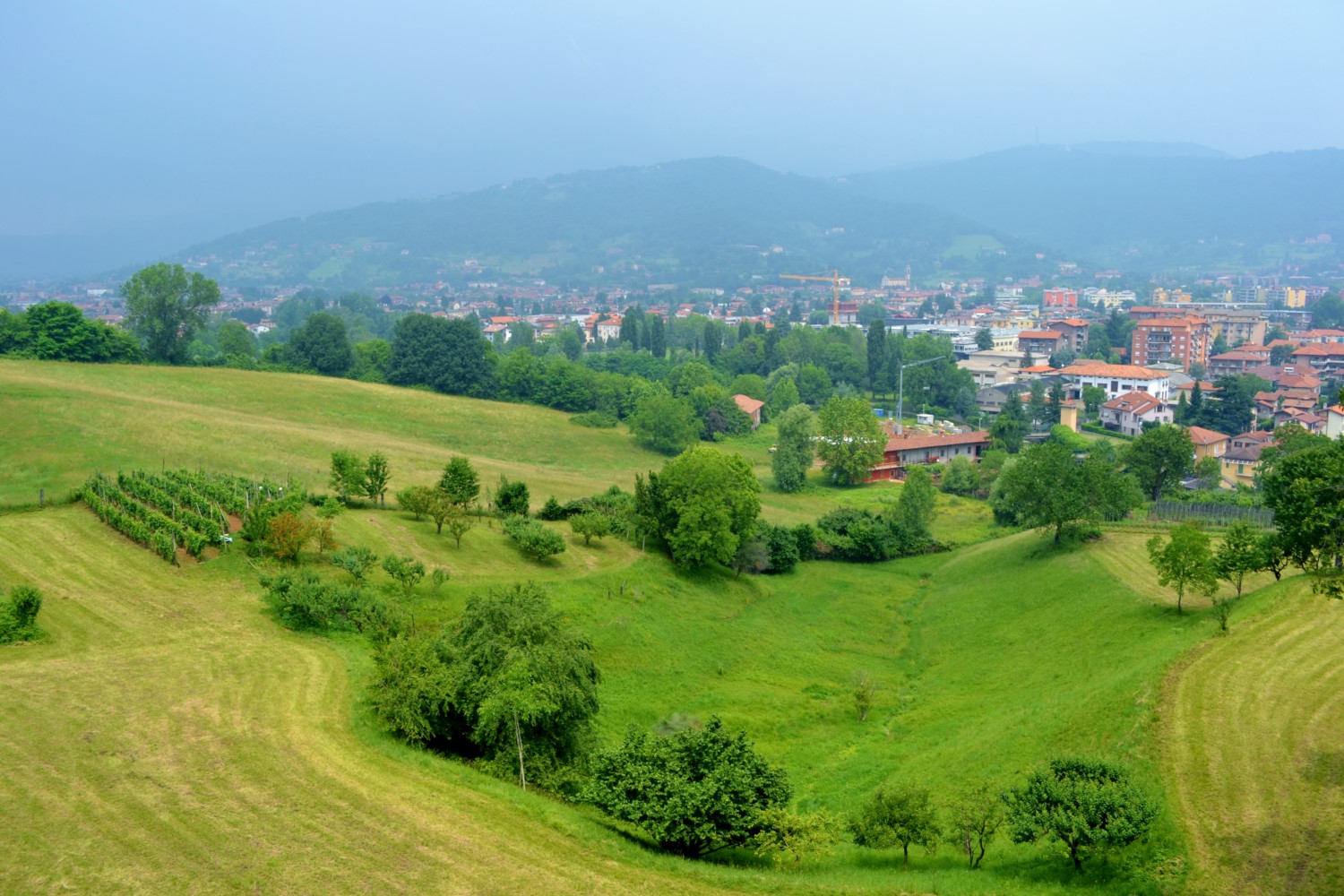 cosa vedere a bergamo