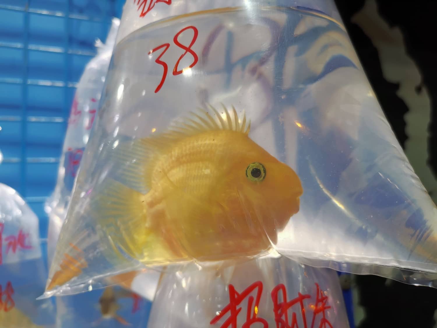 cosa fare a hong kong cosa fare a hong kong