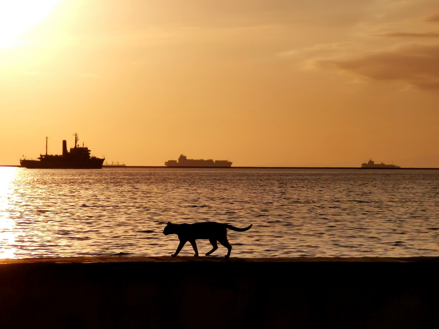 cosa vedere a manila