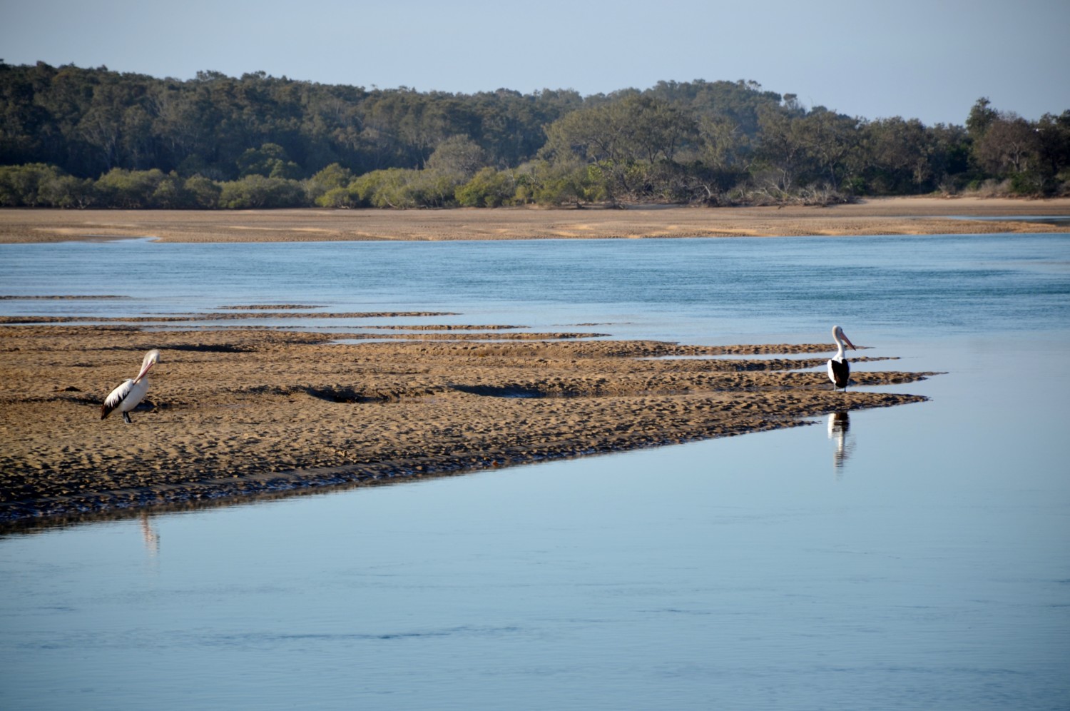 pacific coast da sydney a byron bay