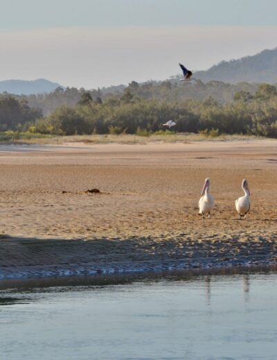 australia pacific coast