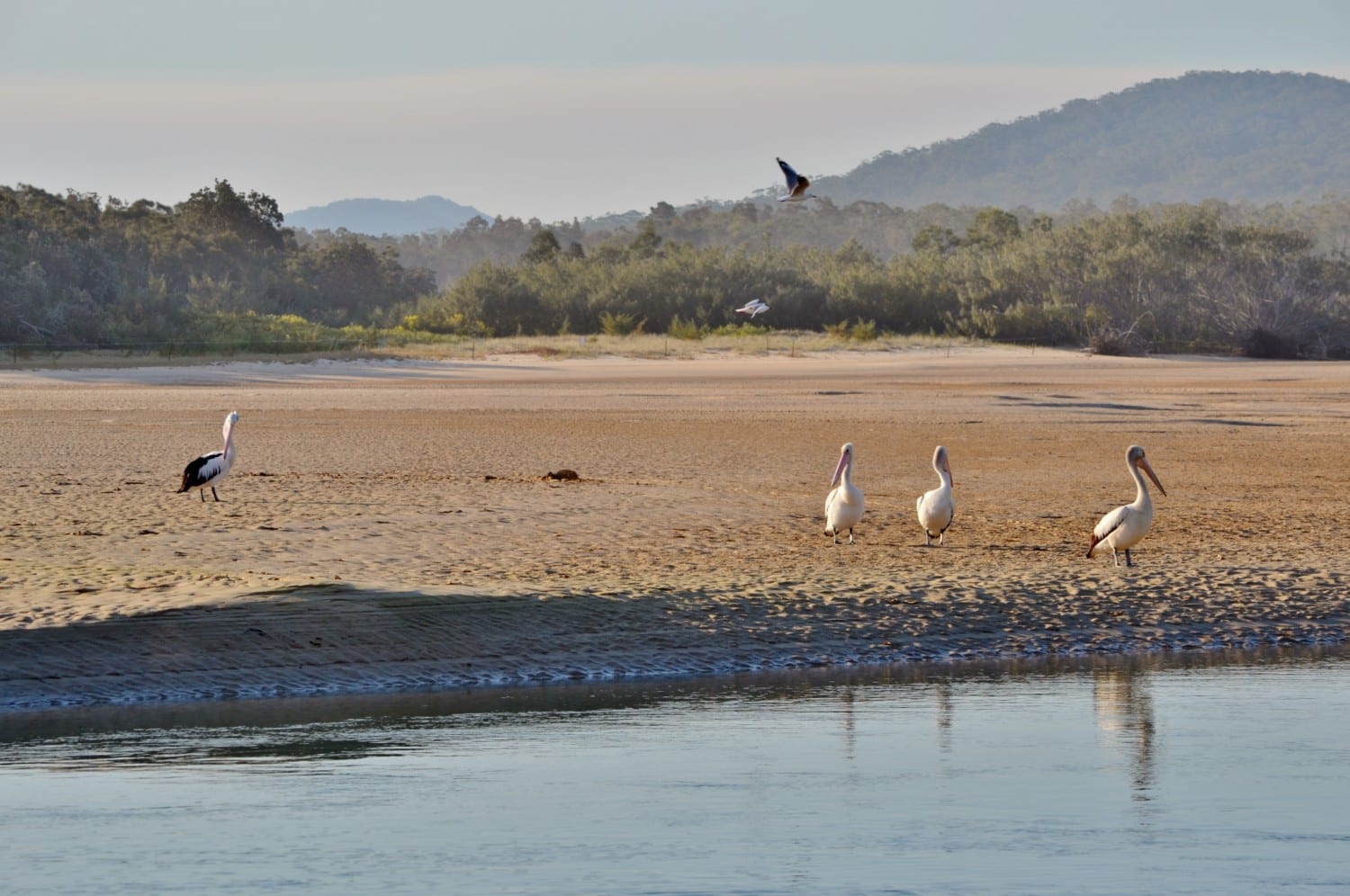 australia pacific coast