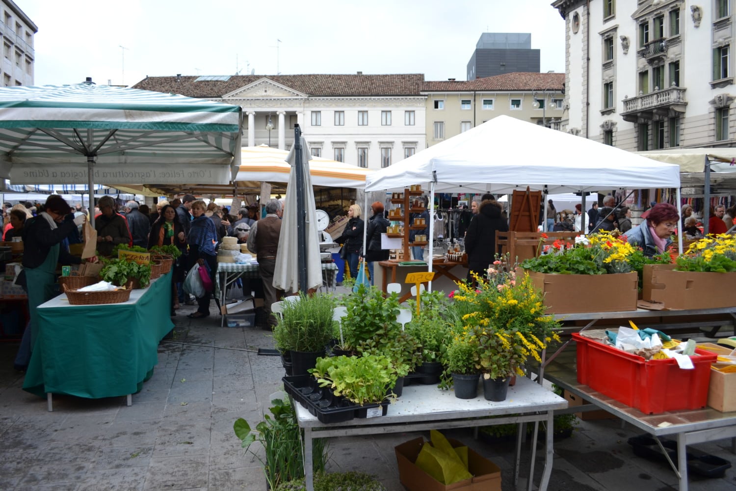cosa vedere a udine