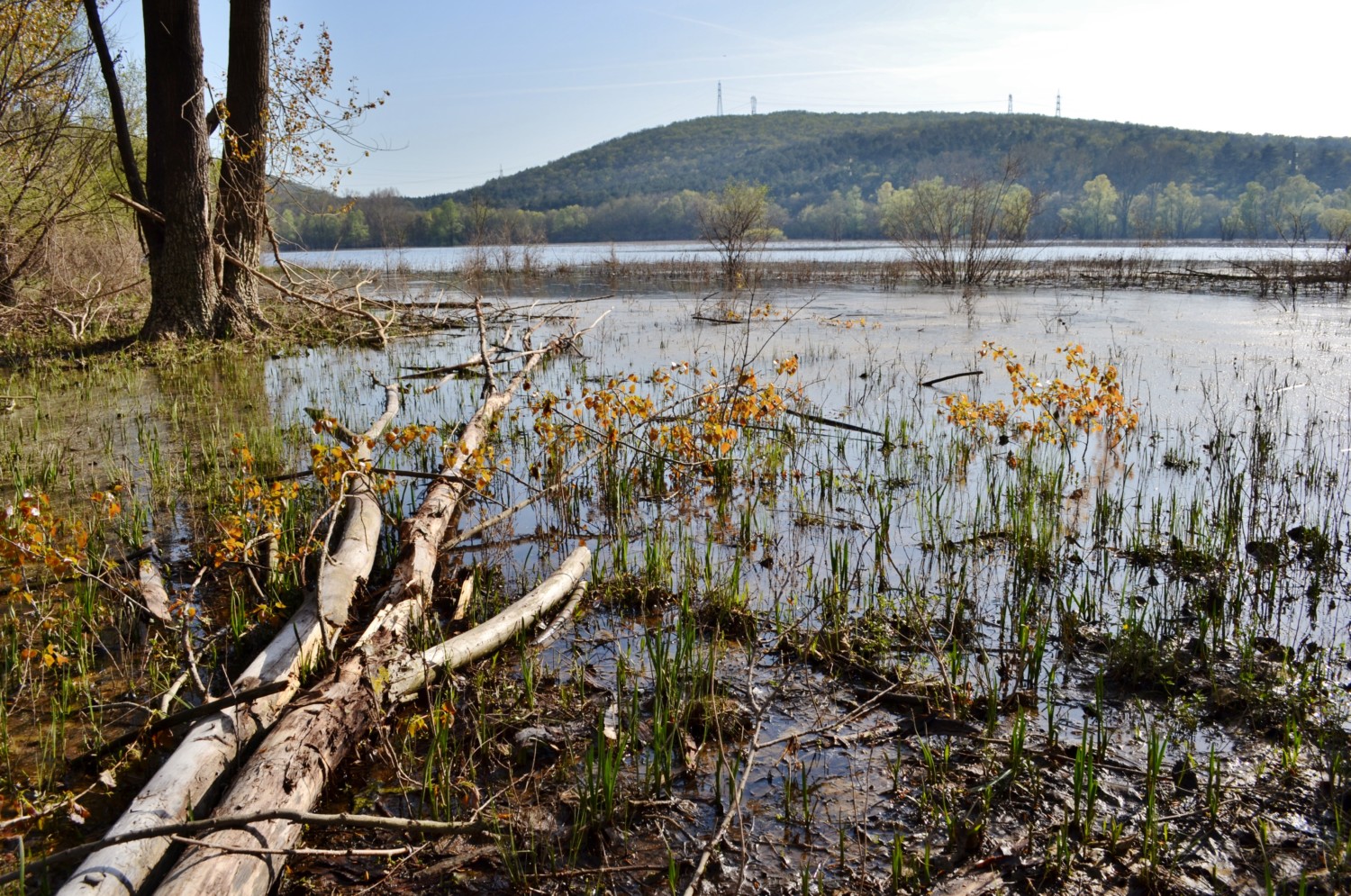 laghi più belli del friuli venezia giulia
