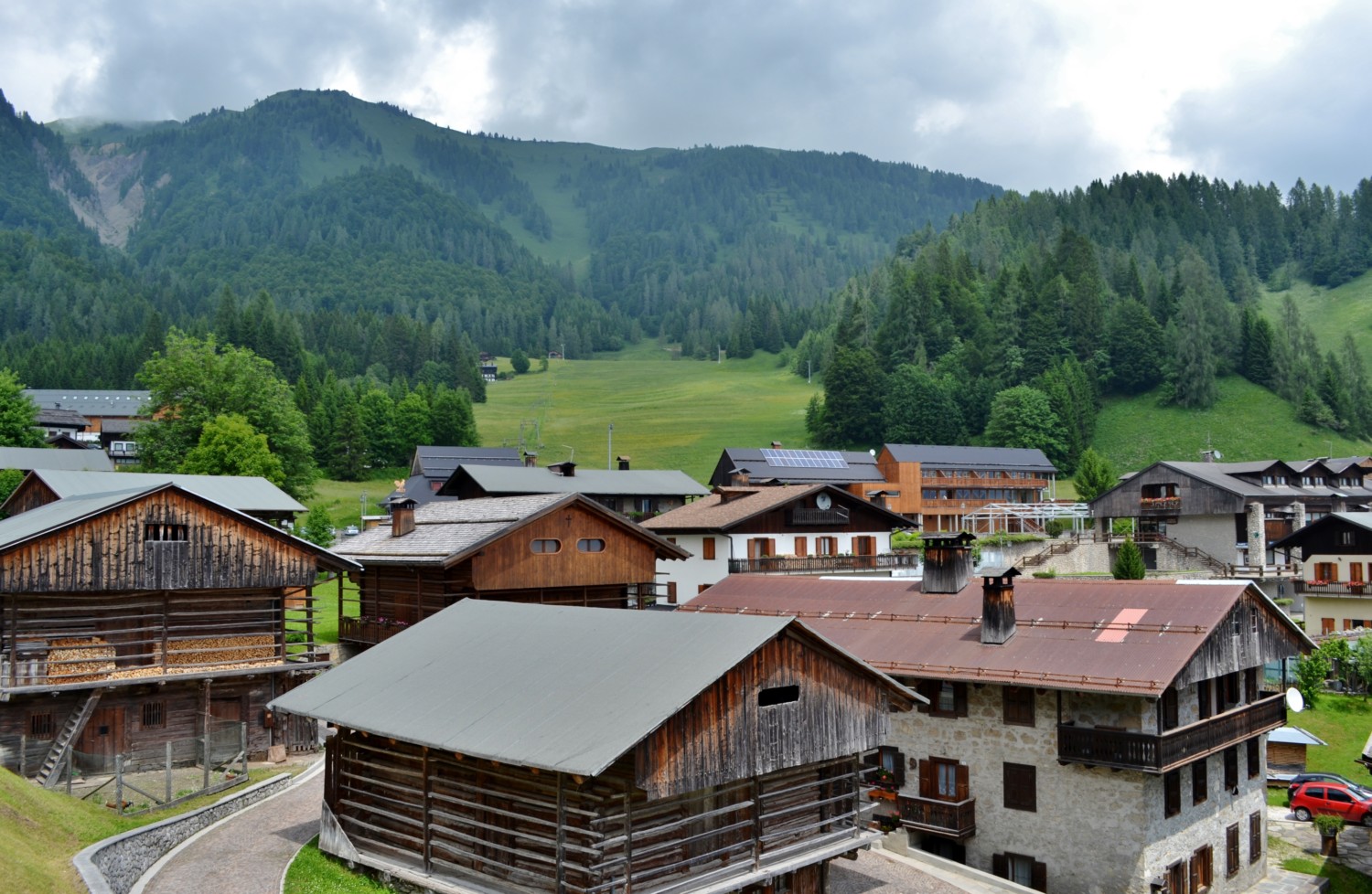 sauris sauris