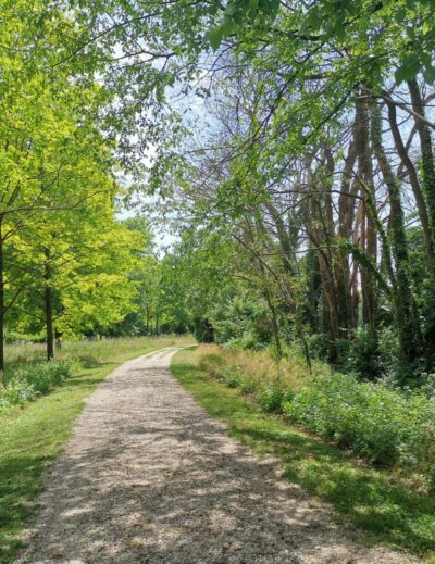 passeggiate facili in friuli