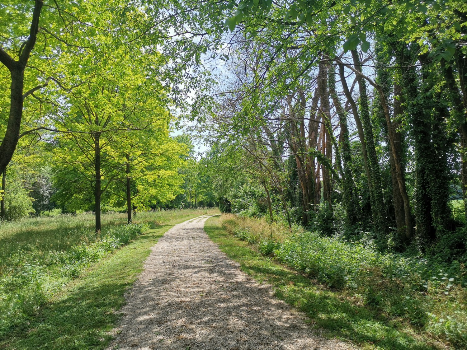 passeggiate facili in friuli