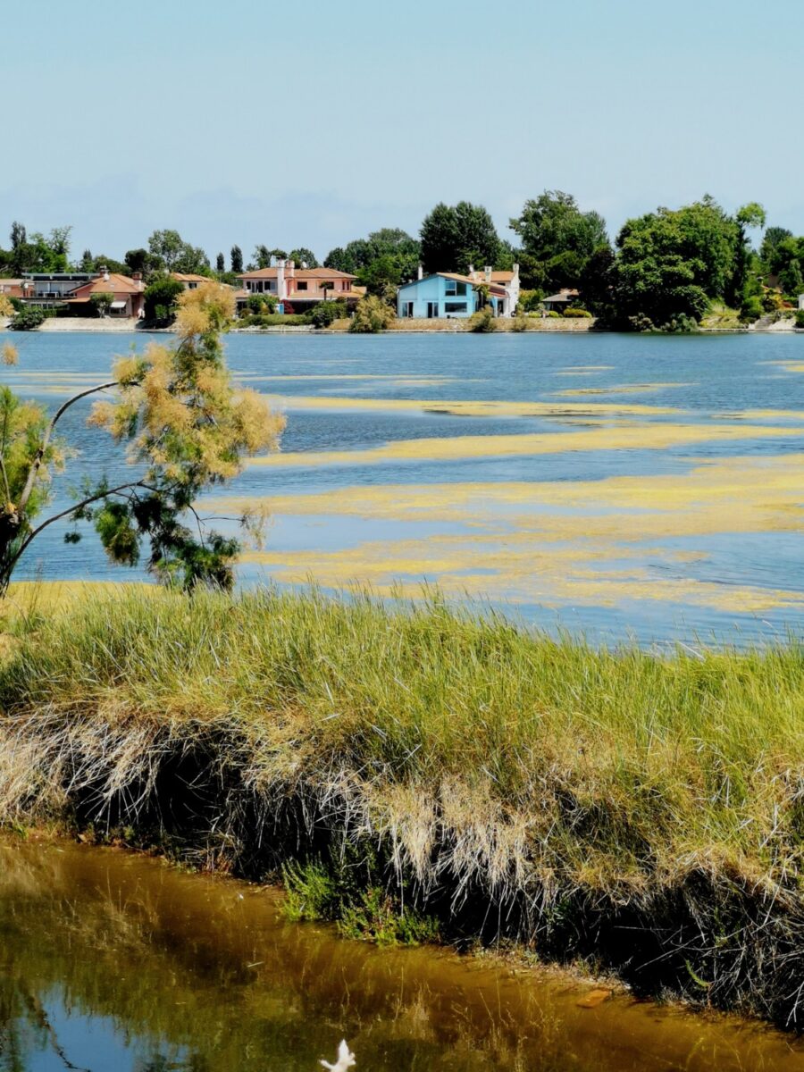 isola di albarealla delta del po