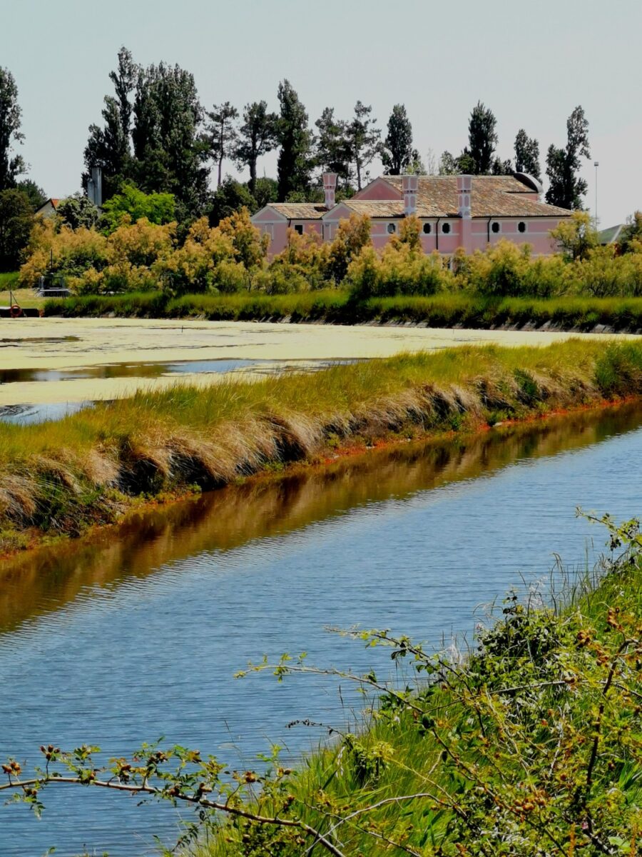 isola di albarealla delta del po
