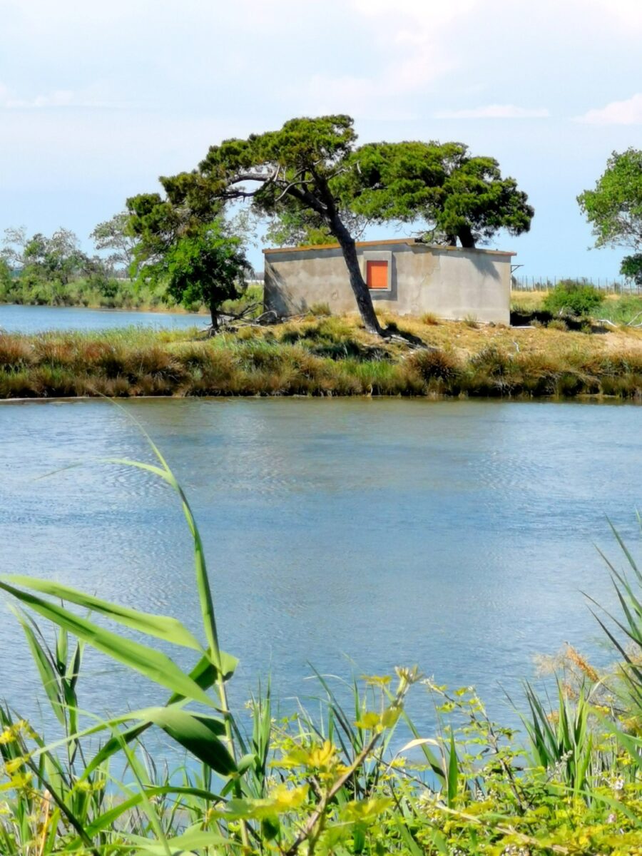 isola di albarealla delta del po