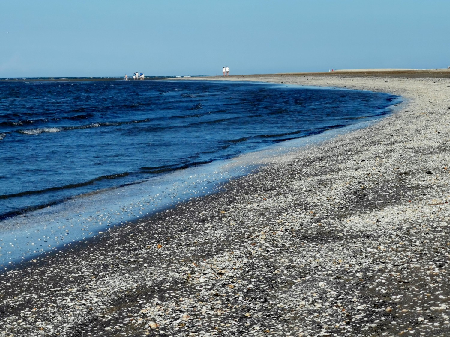 isola di albarealla delta del po