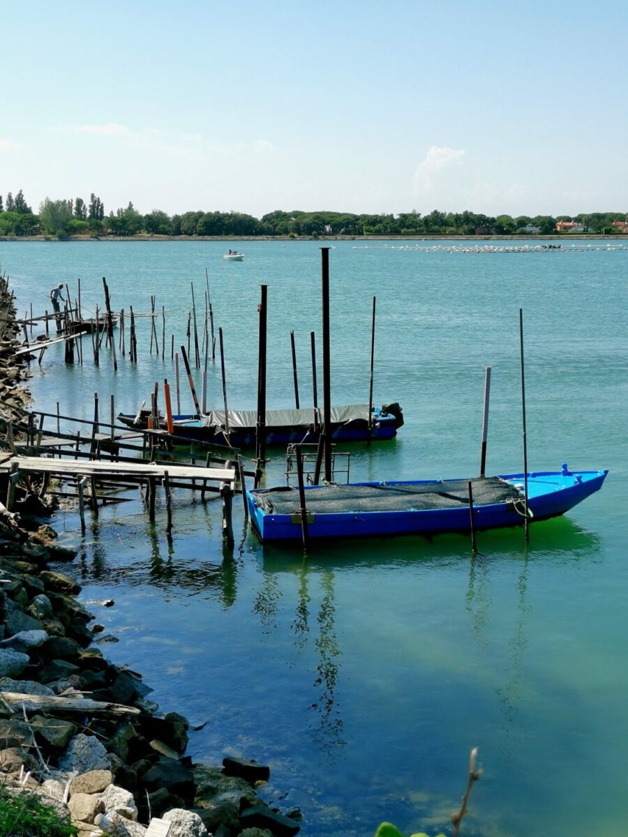 isola di albarealla delta del po