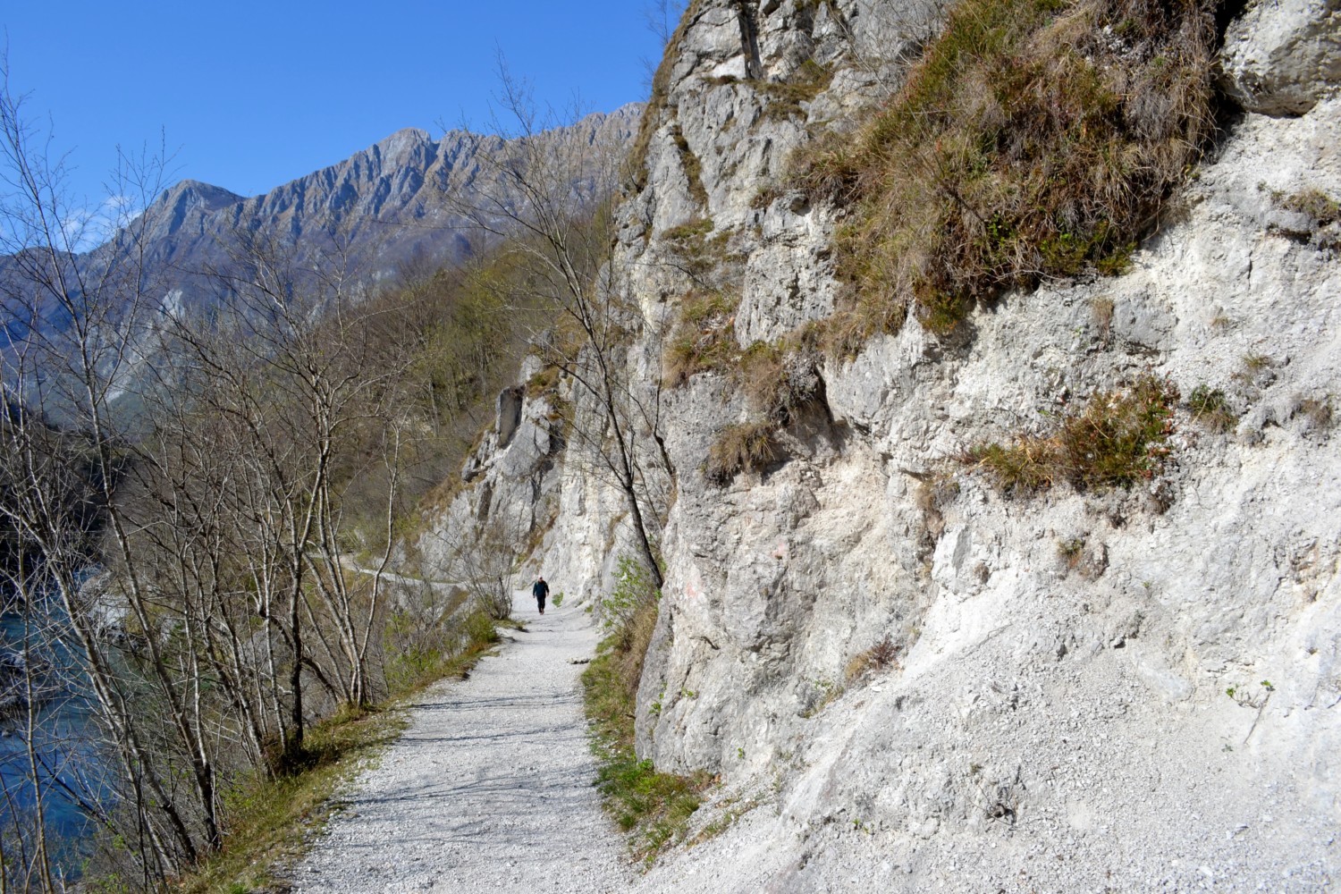 sentiero lungo l'isonzo