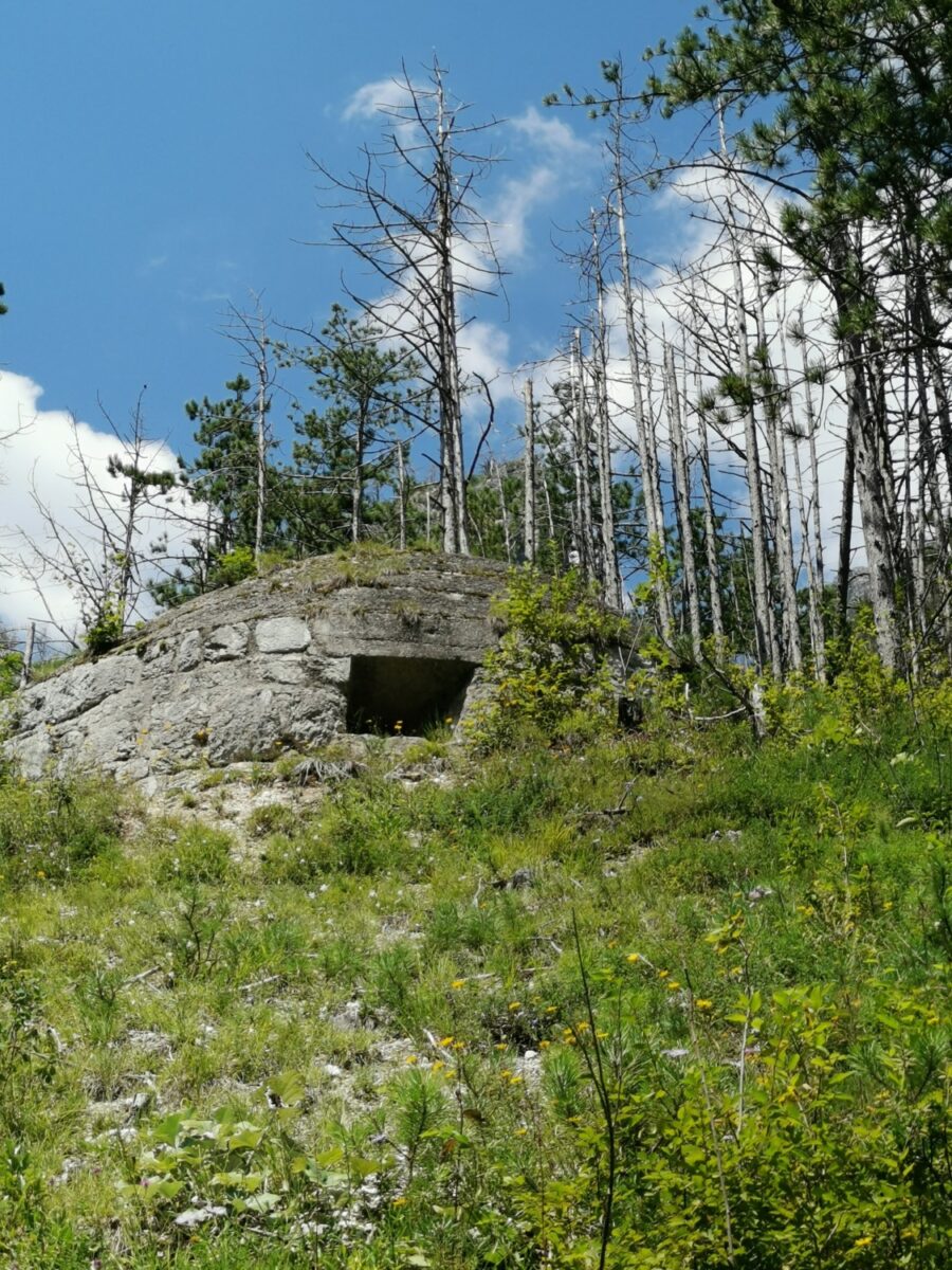 bunker bunker