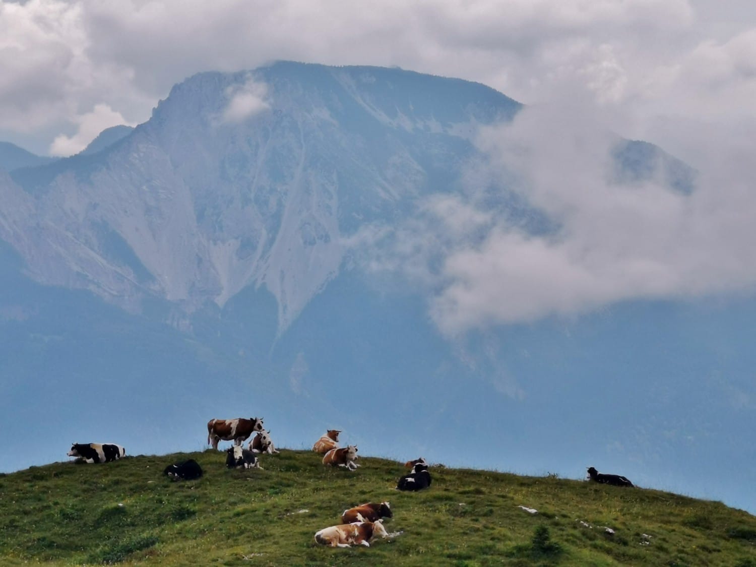sentiero mughi zoncolan sentiero mughi zoncolan