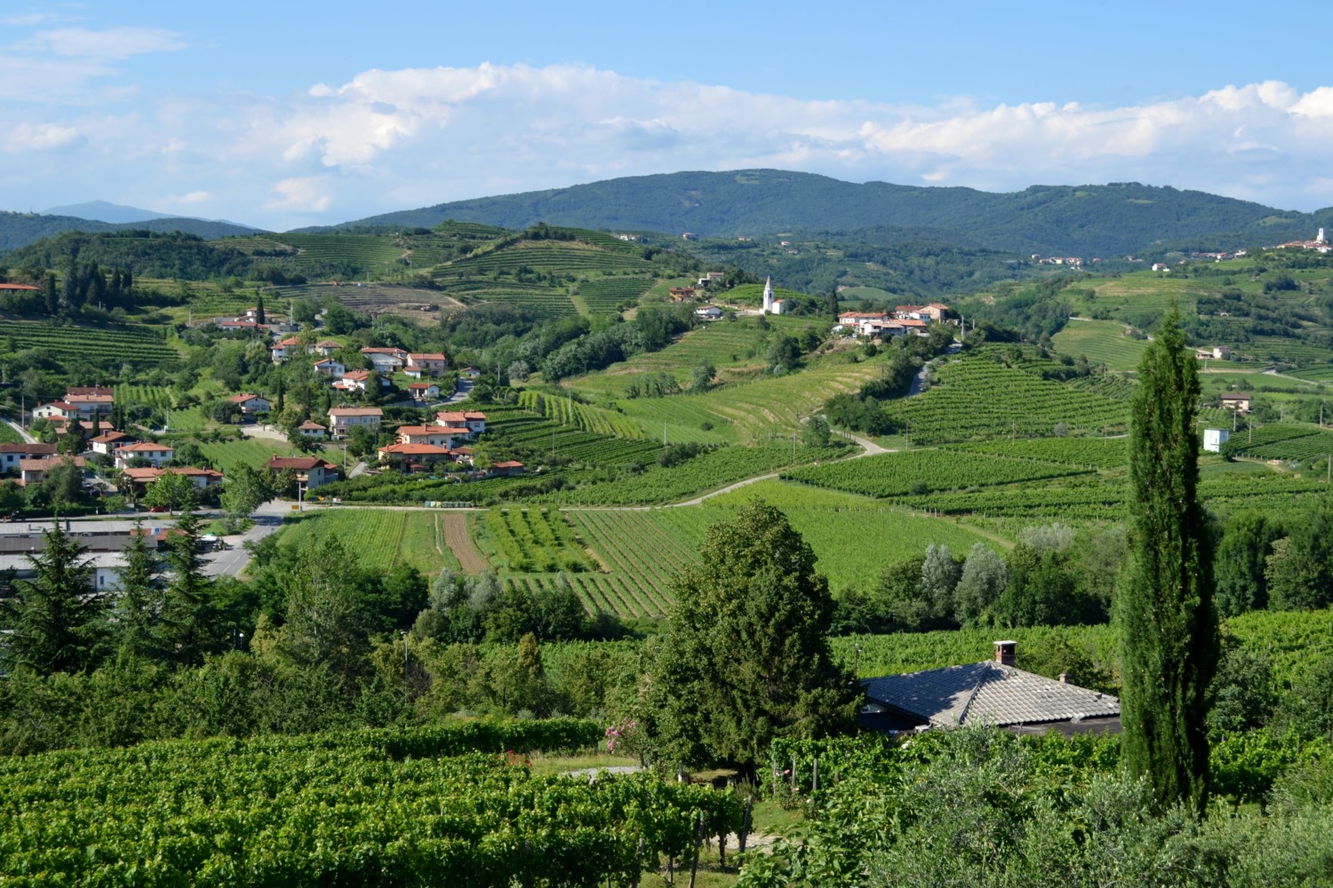 castello di dobrovo
