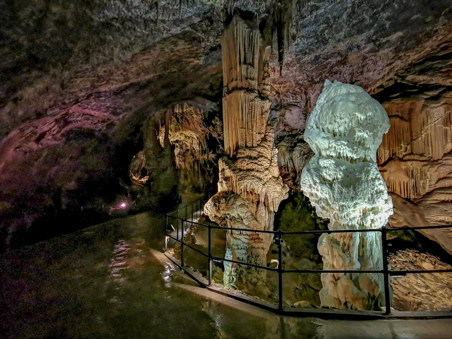 PressTourSLO_Grotte di Postojna_243 PressTourSLO_Grotte di Postojna_243