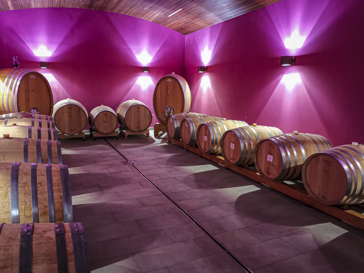 PressTourSLO_Wine Cellar Pulec_008