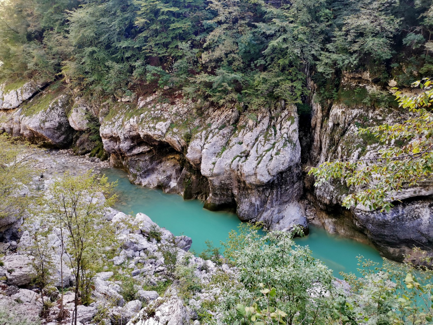 forra del cellina