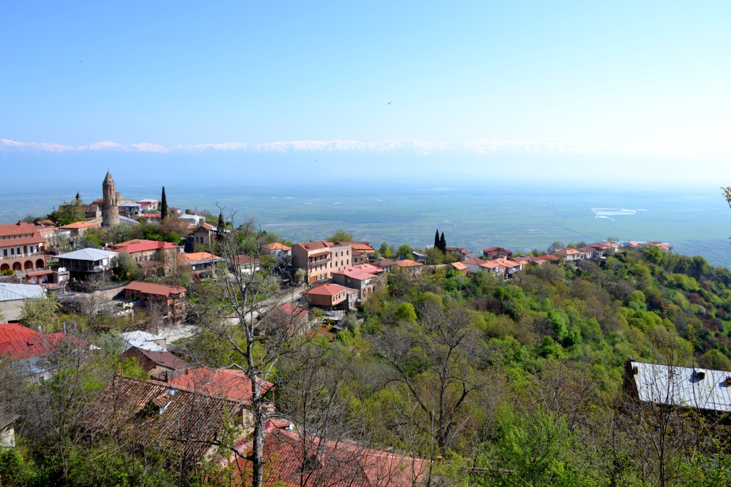 Sighnaghi Sighnaghi