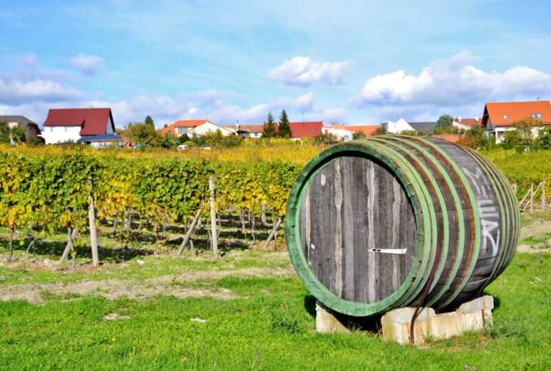 strada del vino dei piccoli carpazi