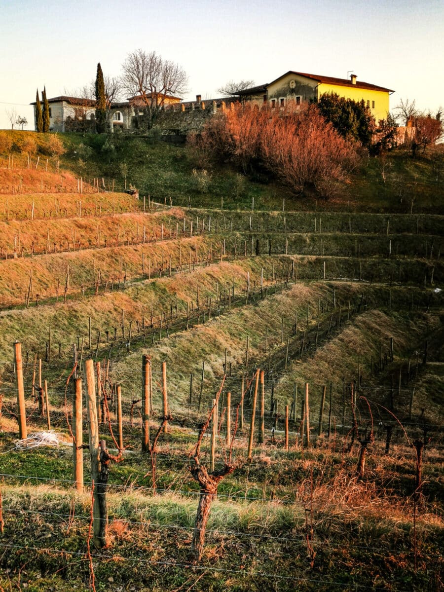 cosa vedere sul collio friulano