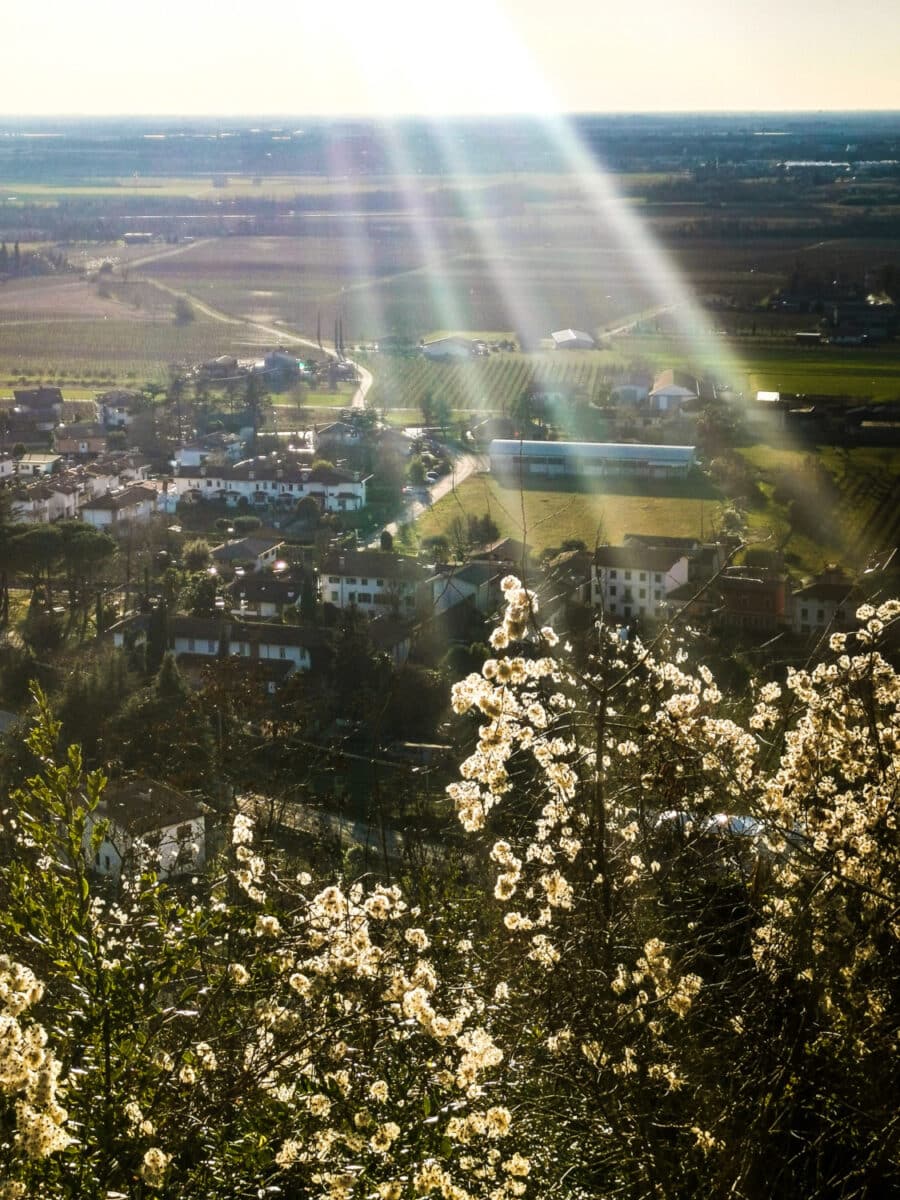 cosa vedere sul collio friiulano