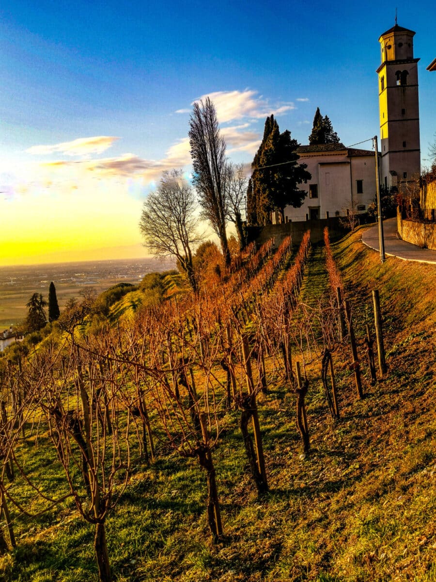 cosa vedere sul collio friiulano