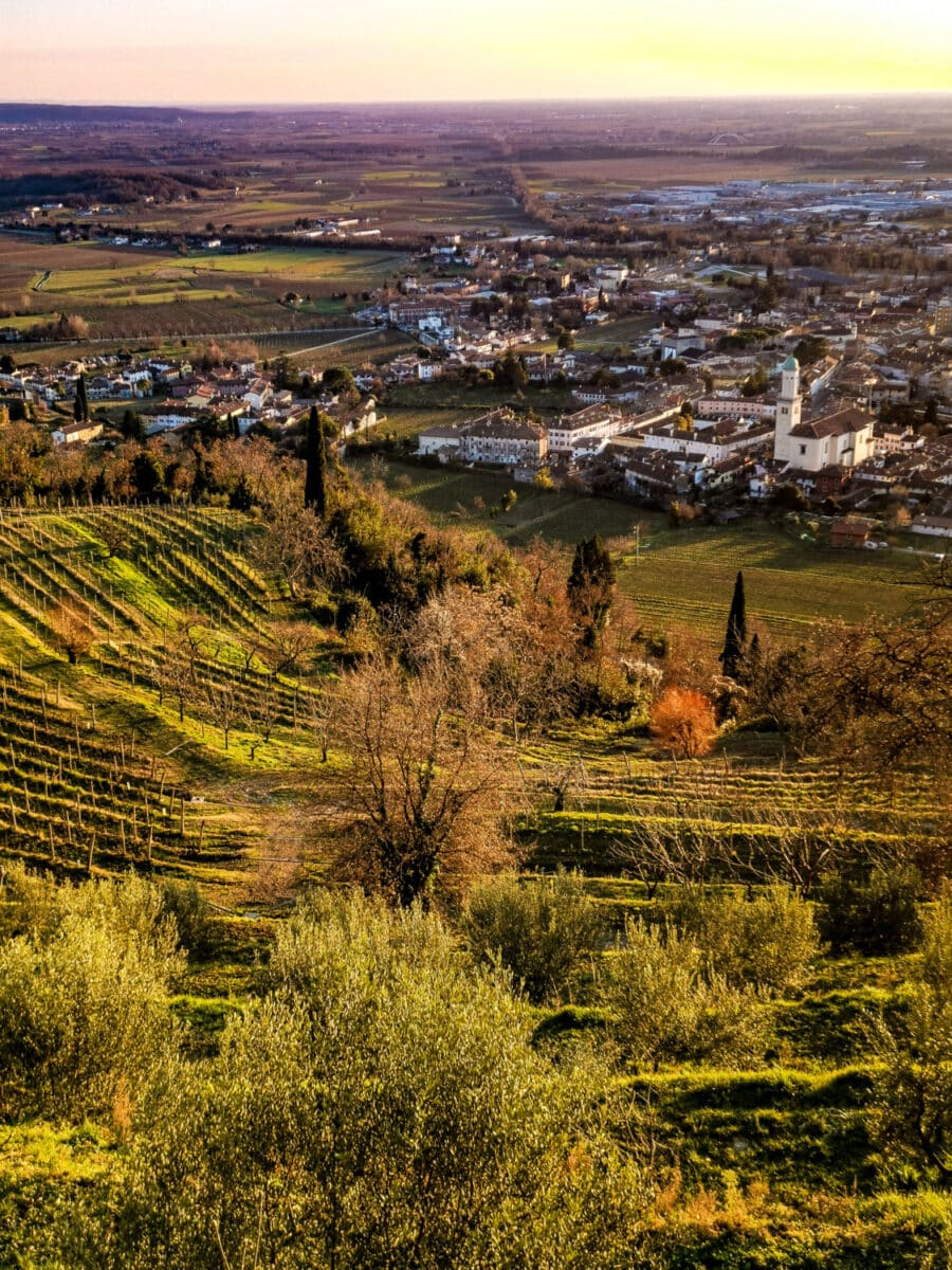 cosa vedere sul collio friiulano