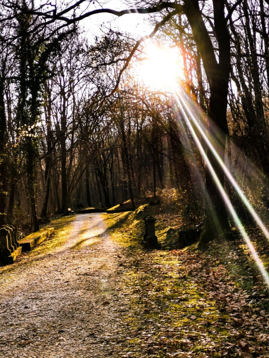 cosa vedere sul collio friulano