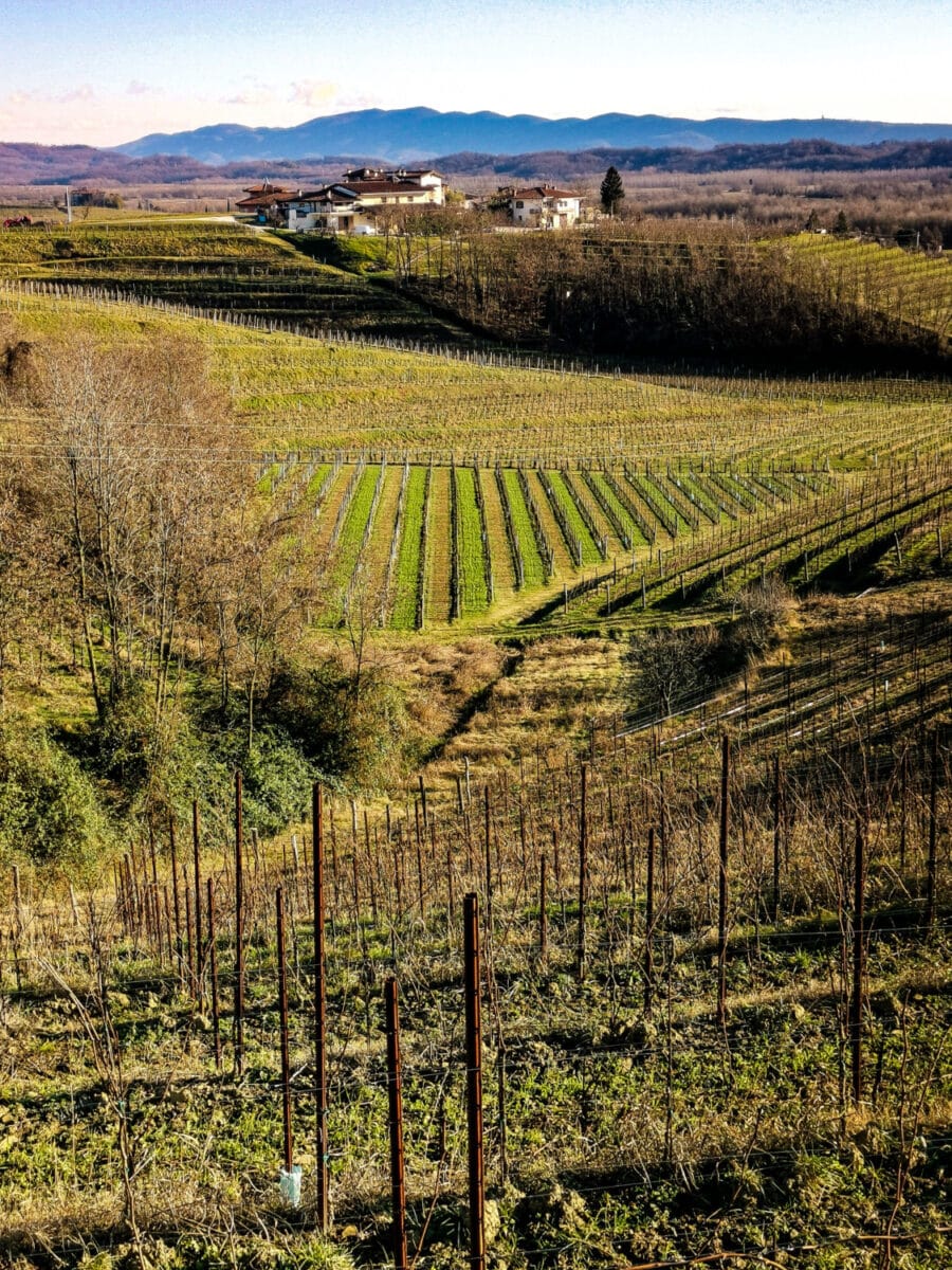 cosa vedere sul collio friulano