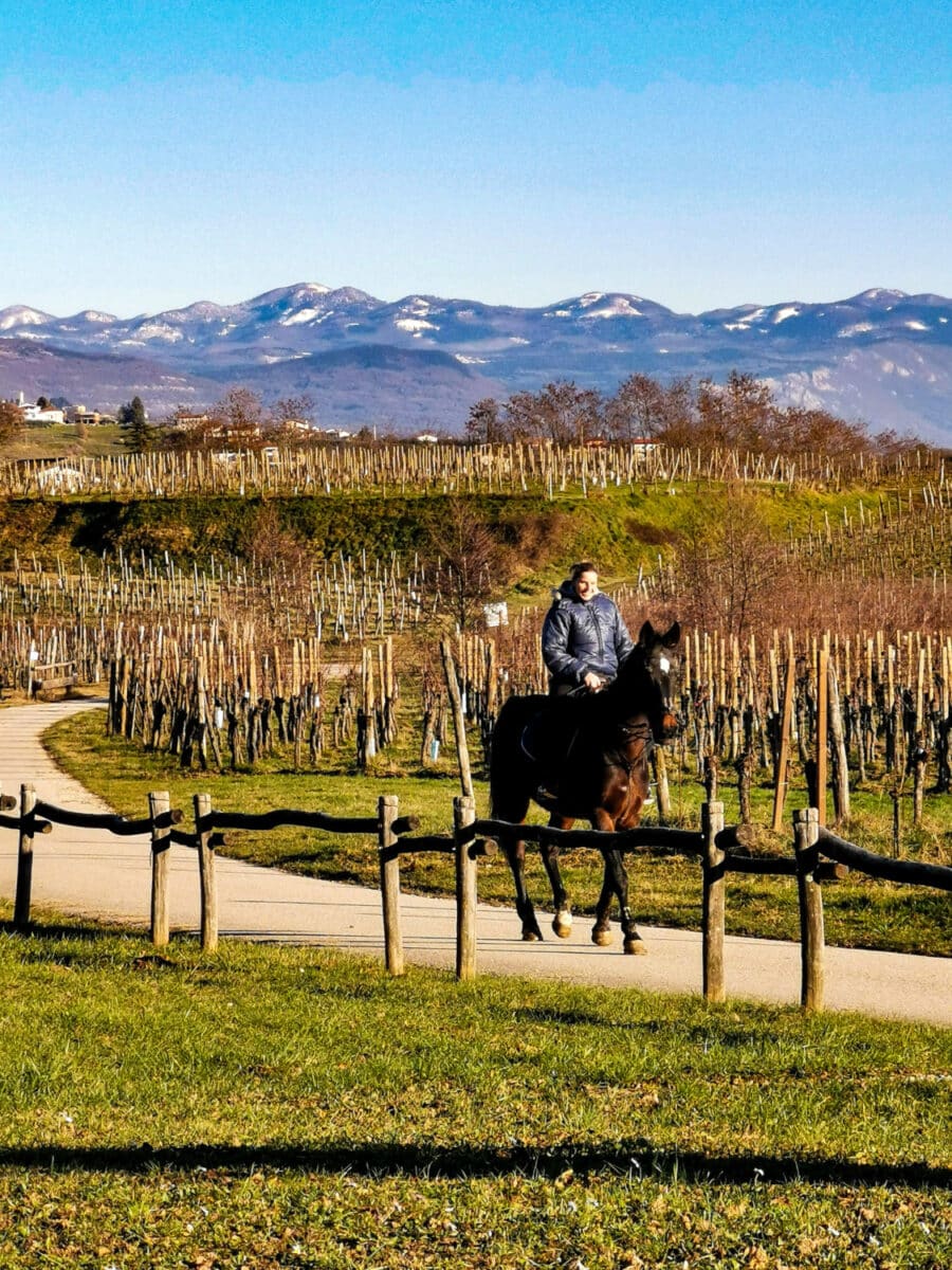 cosa vedere sul collio friulano