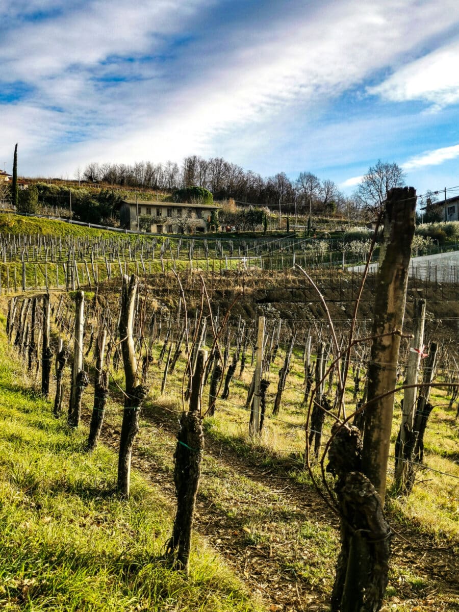 cosa vedere sul collio friulano