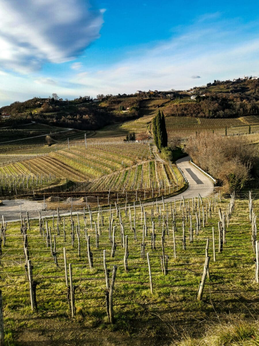 cosa vedere sul collio friulano
