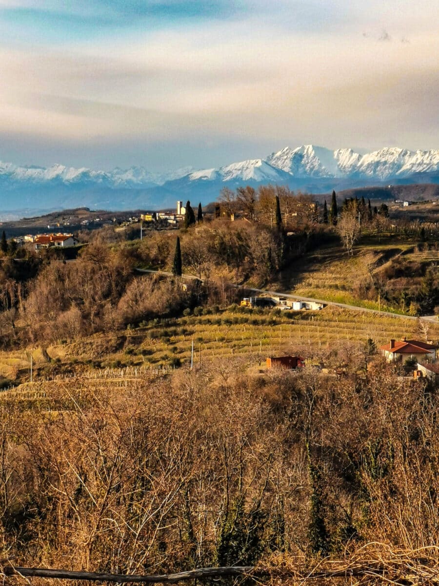 cosa vedere sul collio friulano