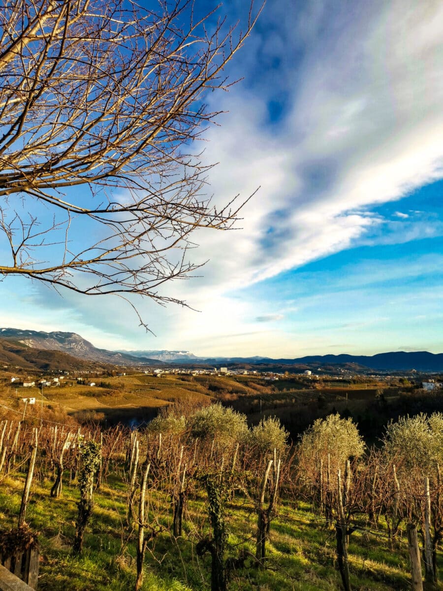 cosa vedere sul collio friulano
