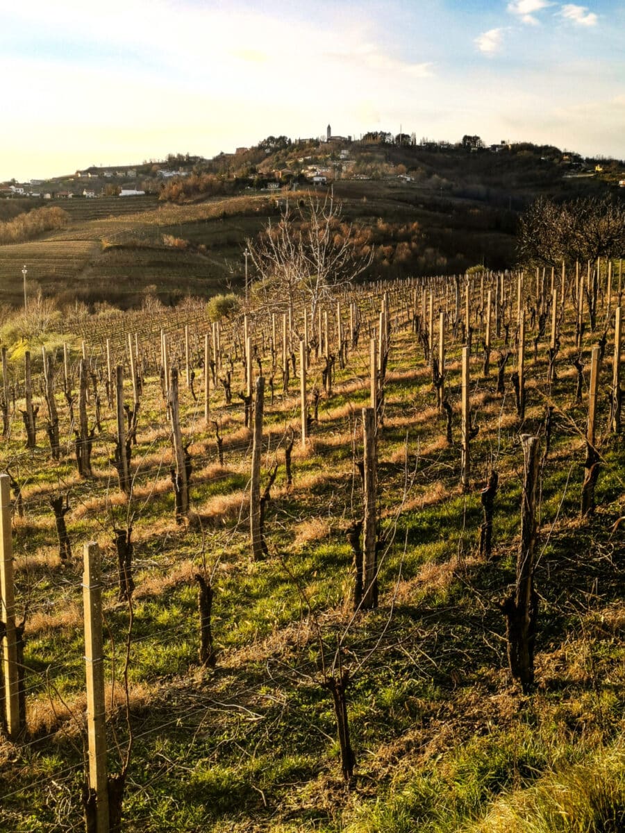 cosa vedere sul collio friulano