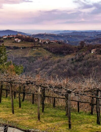 cosa vedere sul collio friulano