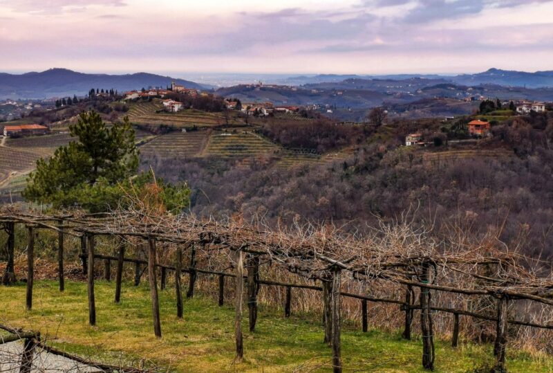 cosa vedere sul collio friulano