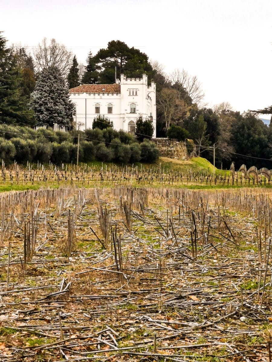 cosa vedere sul collio friulano