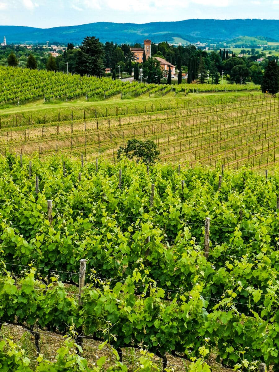 cosa vedere sul collio friulano