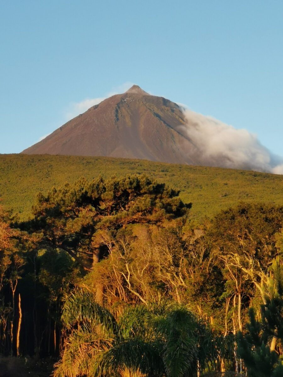 Monte Pico