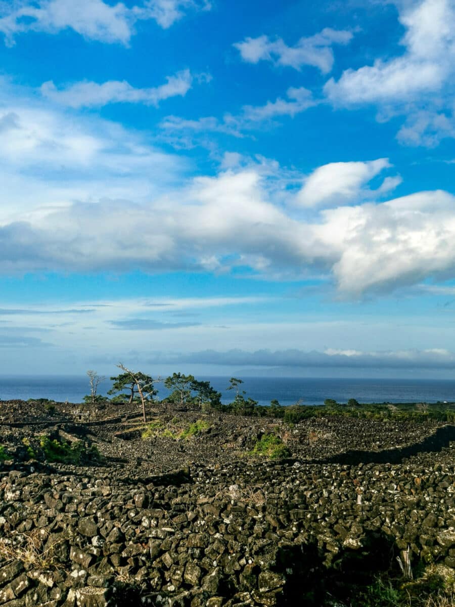 Tipico paesaggio dell'isola di Pico